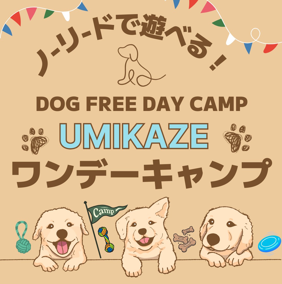 うみかぜ ドックフリーDAYキャンプ